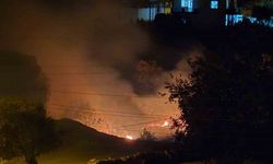 Milas’ta çıkan sazlık yangını hızlı müdahaleyle kontrol altına alındı