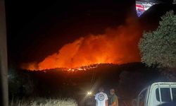 Milas’ta orman yangını müdahale devam ediyor