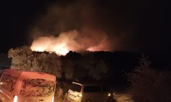 Milas’ta orman yangını