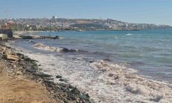Tekirdağ’da poyraz fırtınası kıyılarda kızıl yosunlara neden oldu