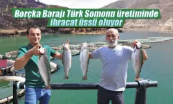 Artvin'de Barajlar hem enerji hem de somon üretiyor