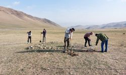 Kırgızistan’da erken Türk dönemine ait arkeolojik kalıntı bulundu