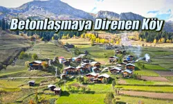 Betonlaşmaya karşı direnen köy