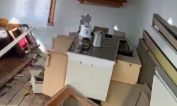 Rize yaylalarında ayı paniği: 20 ev talan edildi