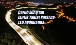 Çoruh EDAŞ’tan Isırlık Tabiat Parkı’na LED Aydınlatma