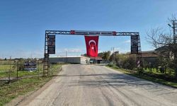 2 şehit tek dua: ’Vatan diye bir hastalığımız var. Allah şifa vermesin’