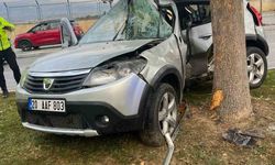Ağaca çarpıp ikiye bölünen otomobildeki kadın hayatını kaybetti