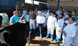 Aksaray’da 60 ilin personeline ineklerin başında uygulamalı eğitim