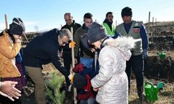 Ardahan’da öğrenciler fidan dikti