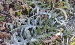 Ardahan’ın Göle ilçesi Türkiye’nin en soğuk yerleşim yeri oldu