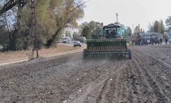 Arpalı’da suni mera tesisi oluşturuldu