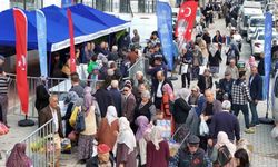 Ata tohumlarından üretilen fideler Aydınlılara ulaştırılıyor