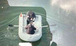 Baraj gölüne 135 metre kaçak ağ sererken jandarmaya yakalandılar