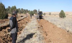 Beyşehir’de 11 bin orman fidanı daha toprakla buluşturulacak