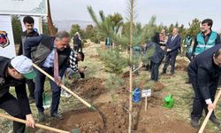 Bingöl’de 25 bin fidan toprakla buluştu