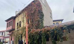 Bitkiler ile kaplanan tarihi yapı kartpostallık manzara oluşturuyor