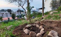 Bodrum Belediyesi çocukları doğayla buluşturdu