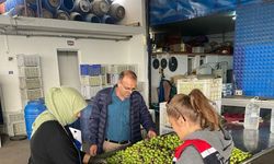 Buharkent’te zeytin rekoltesi ve kalite kontrol çalışmaları sürüyor