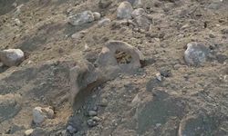 Burdur’da belediyenin kazı çalışması sırasında insan kemikleri bulundu