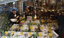 Büryan şehrinde balık tercihi