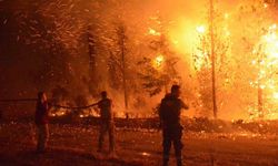 Çanakkale’de 2025 yılında 11 bin 868 futbol sahası büyüklüğünde orman alanı zarar gördü