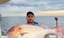 Çanakkale’de balıkçılar 12 kilogramlık mercan balığı yakaladı