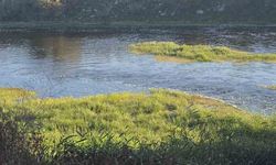 Canbolu Deresi’nde acı oyun: 10 yaşındaki Hızır Ali hayatını kaybetti