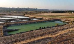 Diyarbakır’a tedavi için sevk edilip kayıplara karışan polisi arama çalışmaları 6’ıncı gününde