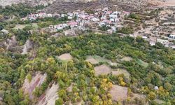 Diyarbakır’ın bu köyünde ne eksen onu biçiyorsun