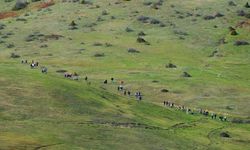 Doğaseverlerin bu haftaki rotası Karagöl ve Sultanpınarı Yaylası oldu