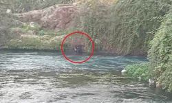 Düden Çayı’na düşen şahsı itfaiye ekipleri kurtardı