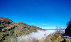 Düzce güne sisle uyandı