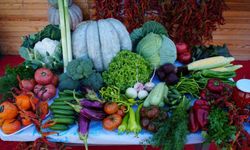 Edirneli üreticiler ata tohumundan ürettikleri ürünleri Millet Bahçesi’nde satışa sunuyor