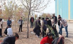 Elazığ’da ‘Yeşil Vatan Seferberliği’ne anlamlı destek