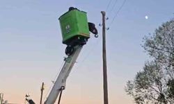 Elektrik direğinde mahsur kalan kediyi ekipler kurtardı