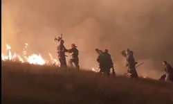 Ermenistan sınırında korkutan örtü yangını