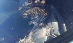 Gümüşhane’de ayı park halindeki araca saldırdı