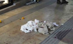 Gümüşhane’de boşanma aşamasındaki eşi tarafından bıçaklanan kadın yaralandı