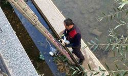 Gümüşhane’de çaya düşen yavru kediyi itfaiye ekipleri kurtardı