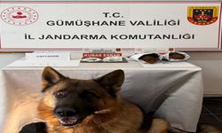 Gümüşhane’de uyuşturucu operasyonunda 4 kişi yakalandı