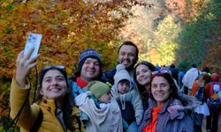 Gümüşhane’nin "Doğal Ağaç Müzesi" ziyaretçi akınına uğruyor