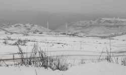 Gümüşhane’nin yüksek kesimleri beyaza büründü