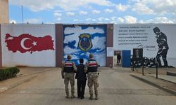 Hırsızlık suçundan 17 yıl cezayla aranan şahsı jandarma yakaladı