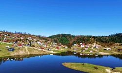 İsviçre değil Sakarya: Sultanpınar Yaylası göz kamaştırıyor