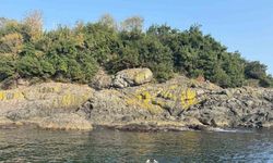 Kasımda deniz keyfi: Giresun Valisi Serdengeçti, adada yüzdü