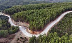 Köyceğiz’de 21 Milyon TL’lik yol yatırımı devam ediyor