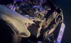 Lüks araç alevlere teslim oldu