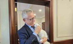 Makamında kedi besleyen Başkan Arslan, hayvan dostu projeleriyle de örnek oluyor
