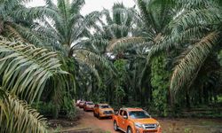 Malezya ile ABD arasında palm yağı savaşı