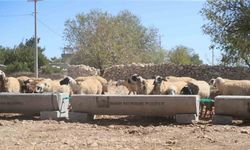 Mardin Büyükşehir Belediyesi 5 ilçede 330 adet sıvat dağıttı